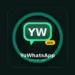 YoWhatsApp APK Concept Logo